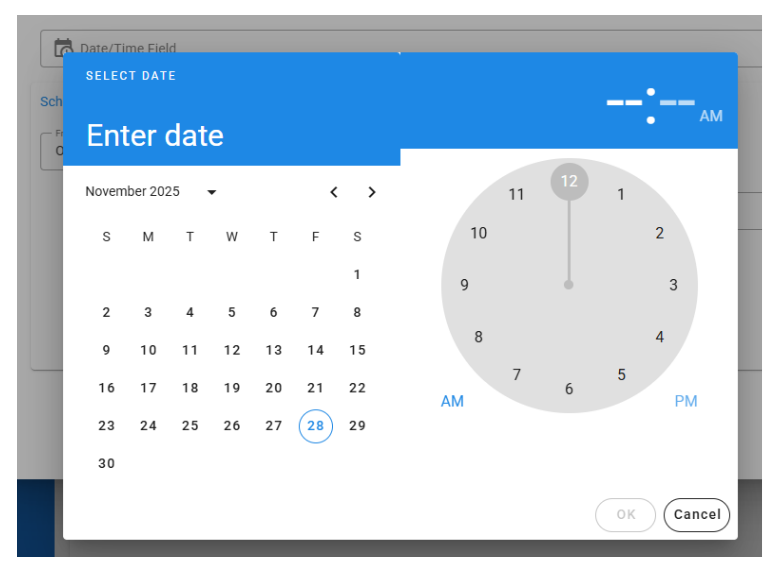 Date Time Field